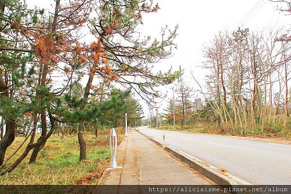 【富山縣 | 雨晴海岸】（2023更新）純白的道之驛「雨晴」