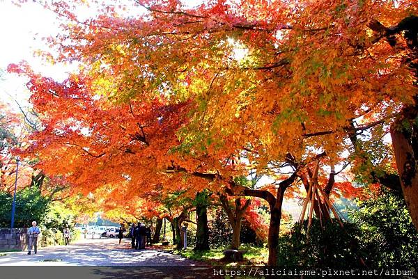 富山縣 高岡古城公園 櫻花漫舞 紅葉繽紛下的藝術公園 百大名城 日本 私旅行 痞客邦 富山縣 高岡古城公園 櫻花漫舞 紅葉繽紛下的藝術公園 百大名城 日本 私旅行 痞客邦