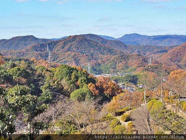 【廣島縣】尾道：3條散策路線，眺望瀨戶內島波風情、走進獨一無