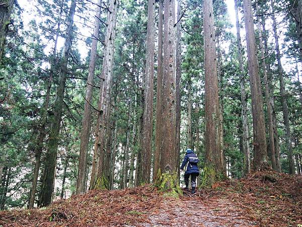 ​​【秋田縣 | 仁賀保】元瀧伏流水X奈曾白瀑布X金峰神社～