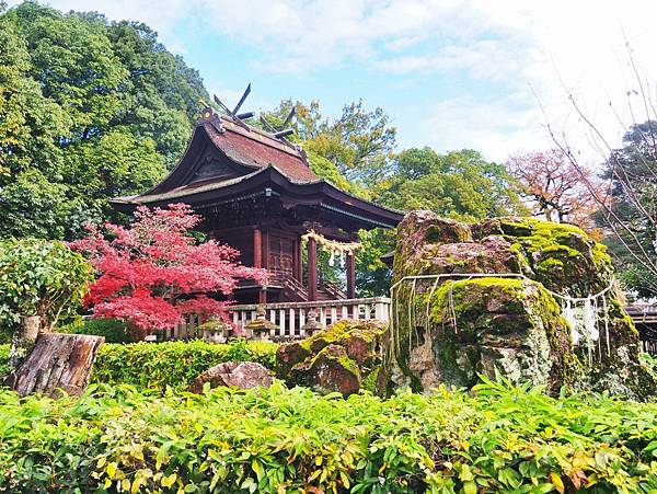 【岡山縣】（2023-2024關西＋岡山＋倉敷超值票券）一日