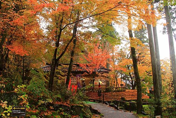 【石川縣 | 小松市】2024北陸新幹線新站!離小松機場僅1 【石川縣 | 小松市】2024北陸新幹線新站!離小松機場僅1