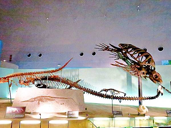 【福井縣】福井縣立恐龍博物館 ：返回12,000萬年前，與恐