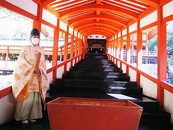 【鹿兒島 | 霧島神宮、神話之里公園】森林裡穿和服，參拜南九