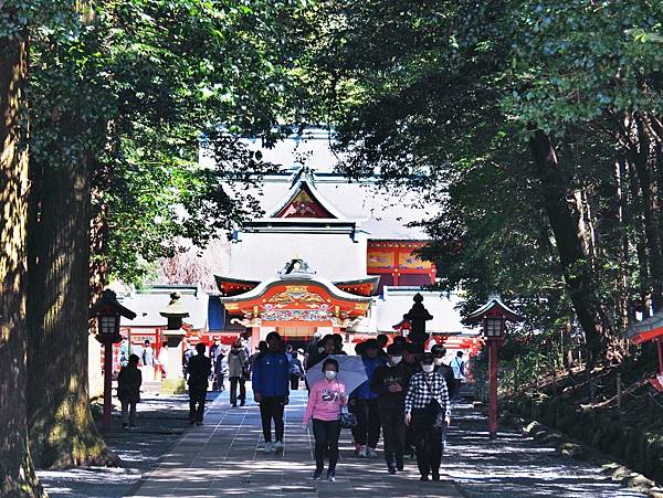 【鹿兒島 | 霧島神宮、神話之里公園】森林裡穿和服，參拜南九