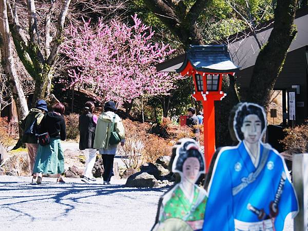 【鹿兒島 | 霧島神宮、神話之里公園】森林裡穿和服，參拜南九