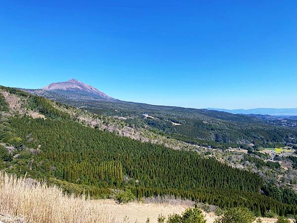 【鹿兒島 | 霧島神宮、神話之里公園】森林裡穿和服，參拜南九