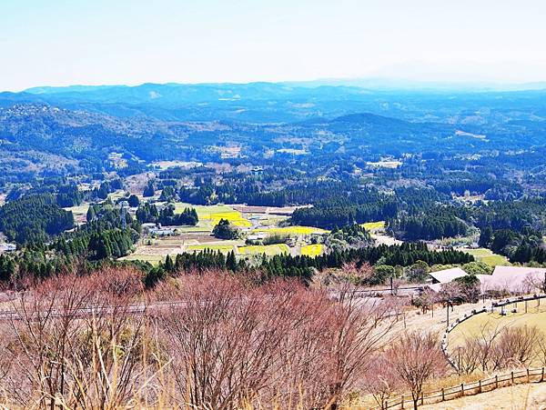 【鹿兒島 | 霧島神宮、神話之里公園】森林裡穿和服，參拜南九