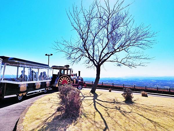 【鹿兒島 | 霧島神宮、神話之里公園】森林裡穿和服，參拜南九