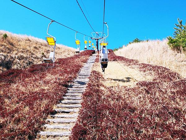 【鹿兒島 | 霧島神宮、神話之里公園】森林裡穿和服，參拜南九