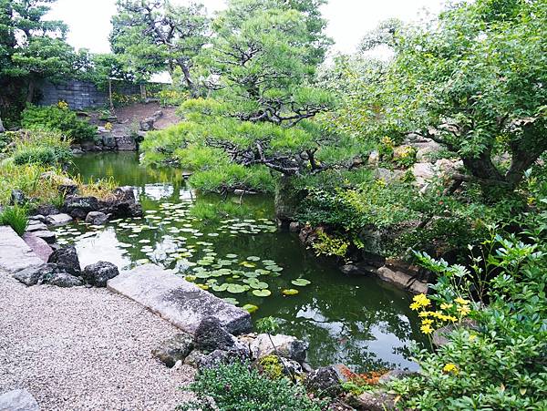 【鳥取縣 | 米子市】鳥取富士〔大山〕、日本海，走訪山陰第一