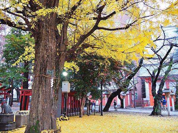 【東京 | 新宿住宿】東急STAY（TOKYU STAY）：