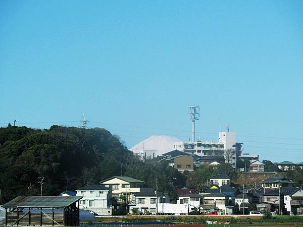 【神奈川縣 | 三浦半島 】いろば亭：最高境界的鮪魚料理*三