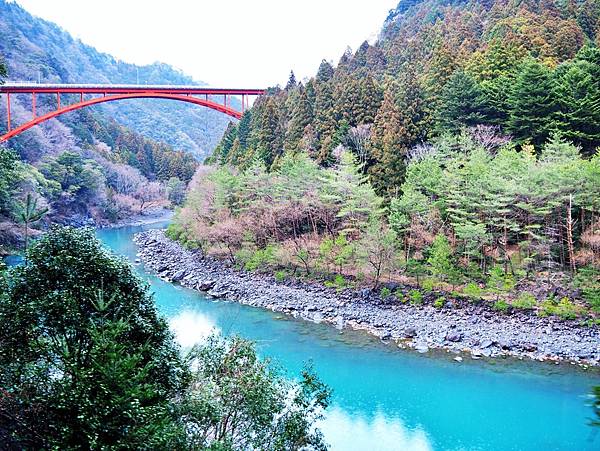 【靜岡縣 | 川根本町】搭乘大井川鐵道，體驗日本唯一亞伯式/