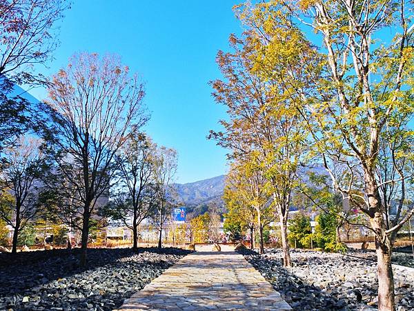 【廣島縣】坂茂*下瀨美術館：飄浮在瀨戶內海的彩色美術館，徜徉