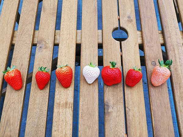 【福岡縣 | 久留米】夢幻七大草莓一次採收，極品草莓甜點甜入