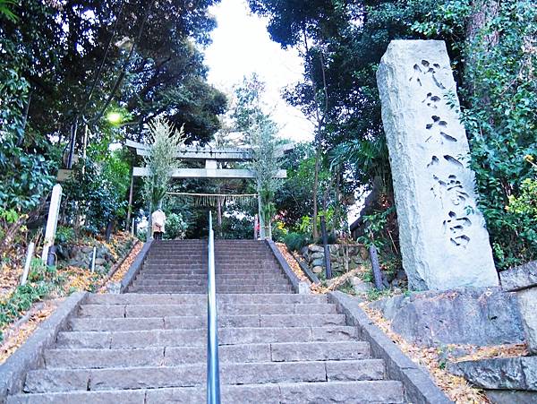 【東京都】走進電影《我的完美日常》，The Tokyo To