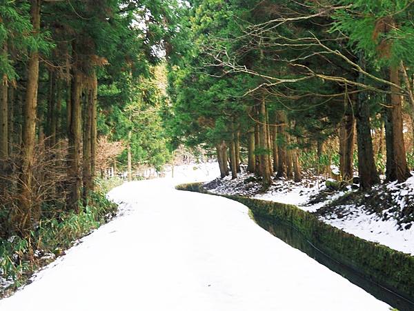 ​​【秋田縣 | 仁賀保】元瀧伏流水X奈曾白瀑布X金峰神社～