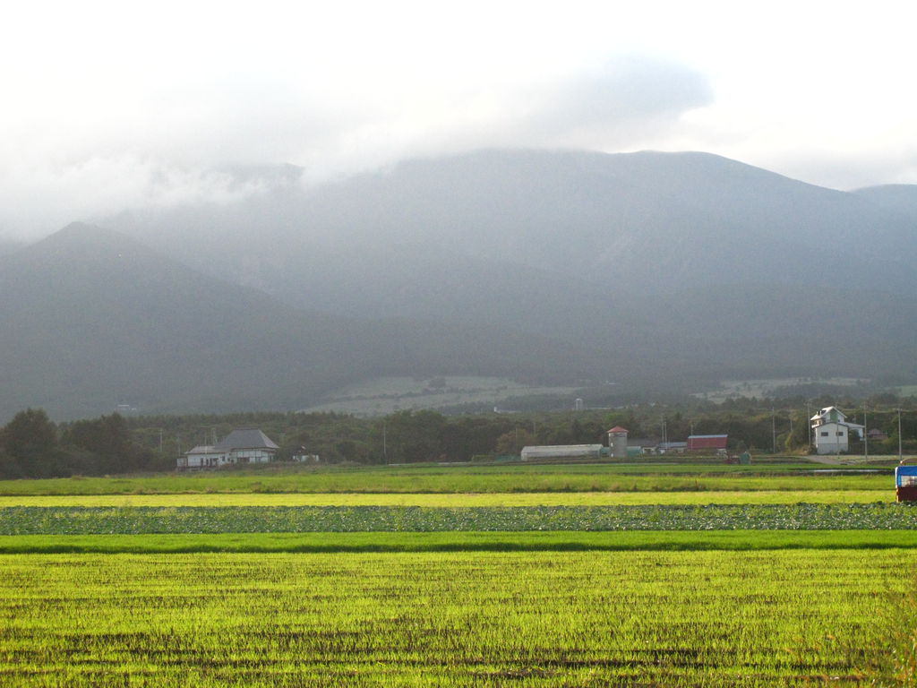 沿途風景 (6).JPG