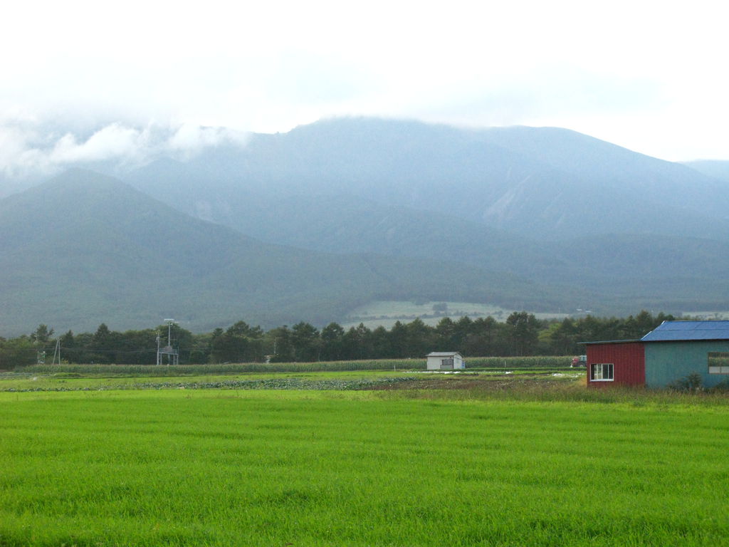 沿途風景 (8).JPG