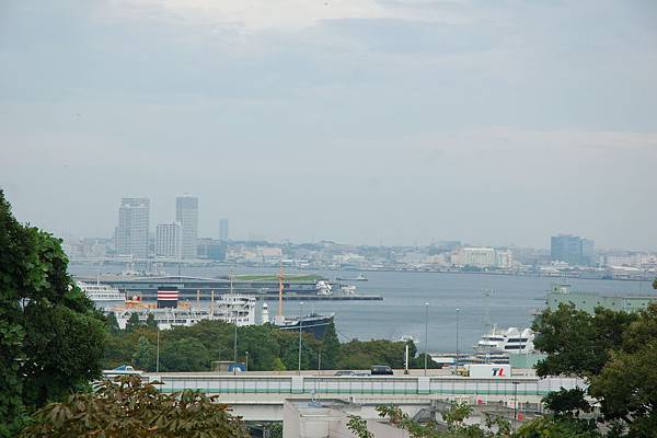 港見丘眺望及港灣大橋 (2).JPG