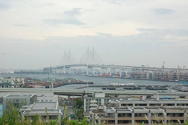 港見丘眺望及港灣大橋 (4).JPG