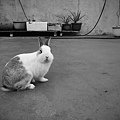 2011.04.24 Funny day-04.jpg