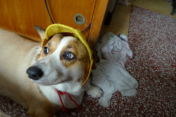 P1000063.JPG