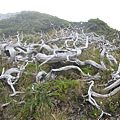 死亡氣息(上雪主前)