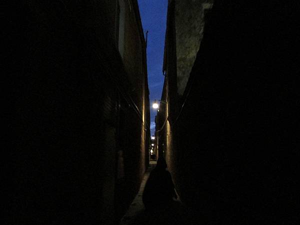 夜的威尼斯-1