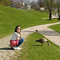 慕尼黑奧林匹克運動公園還有鴨子（1）.jpg