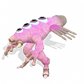 Pinky (1).png