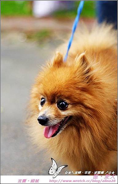 5305572997_cbeea23b41_o.jpg 5305572997_cbeea23b41_o.jpg