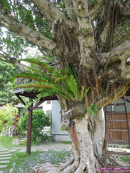 『生日慶花蓮』吉安鄉住宿推薦 金澤居