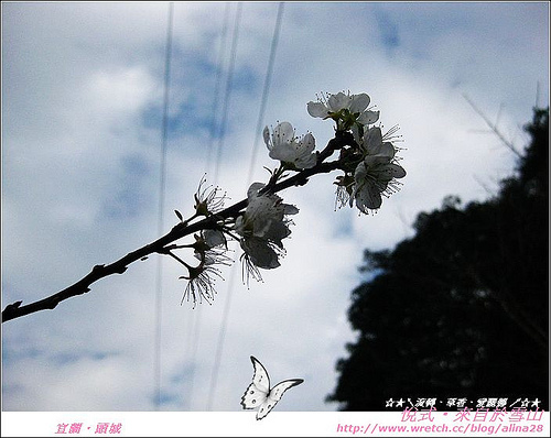 『宜蘭』頭城．來自雪山的天然好水‧悅式