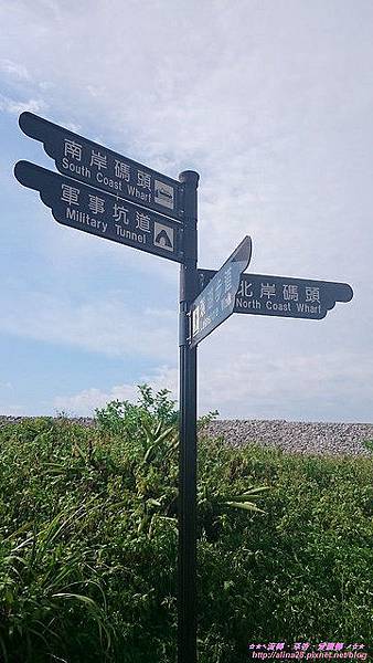 『宜蘭』龜山島賞鯨豚登島一日遊 (24).jpg