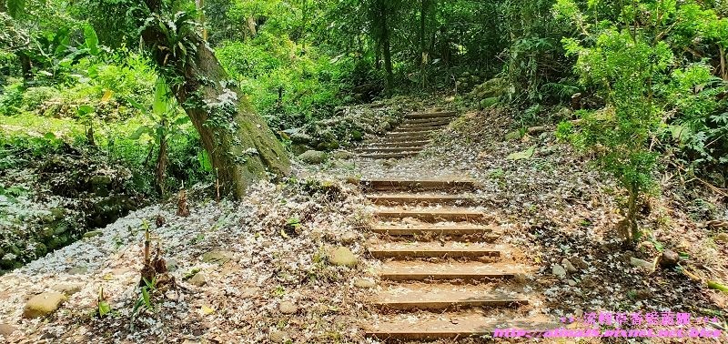 大溪十一指古道