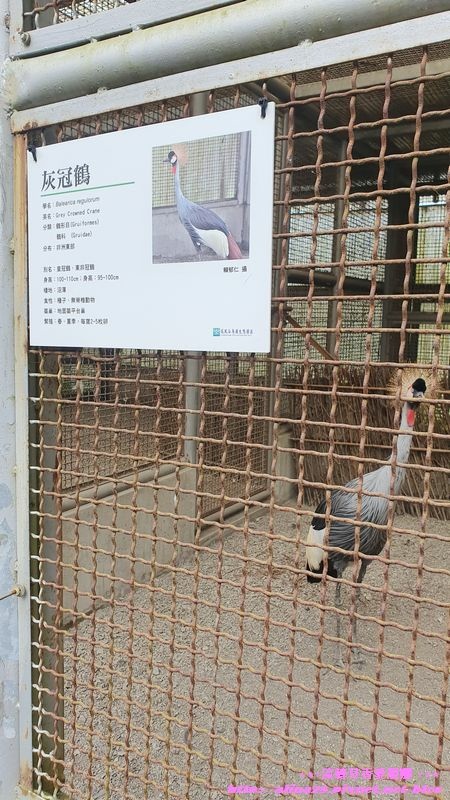 南投鹿谷鳳凰谷鳥園生態園區