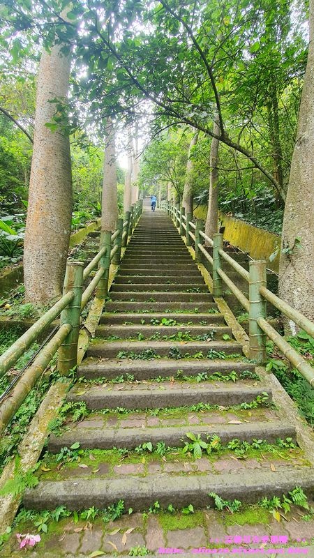 南投鹿谷鳳凰谷鳥園生態園區