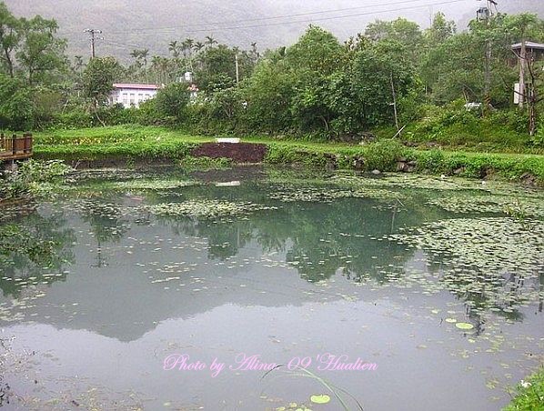 『花蓮慢活』馬太鞍濕地