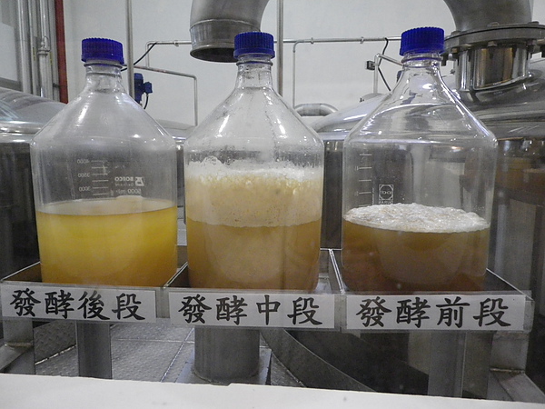 發酵過程