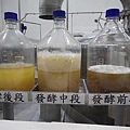 發酵過程