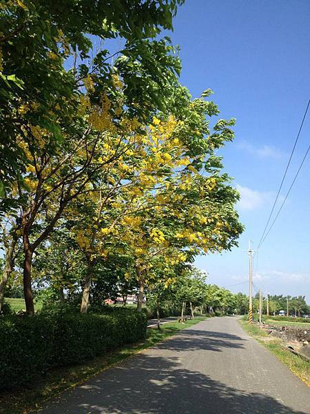 風車的故鄉~中溝