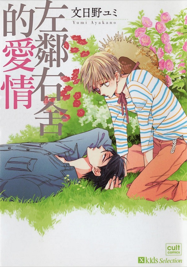 亂搭耽美bl漫畫 左鄰右舍的愛情 文日野ユミ Vivy的天地 塔羅 命理 痞客邦