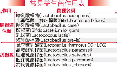 常見益生菌作用表