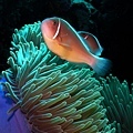 P1000462-2.jpg