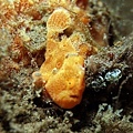 P1030432-2.jpg