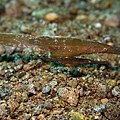 P1030897-2.jpg