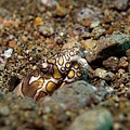 P1030948-2.jpg