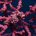 P1020163-2.jpg